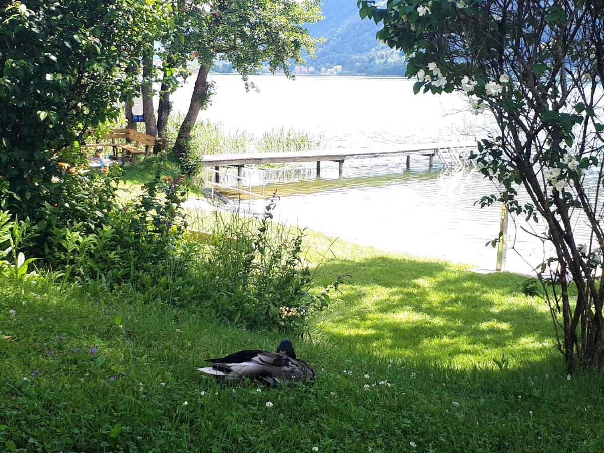Maren Seeblick Appartement Haus Haensel&Gretel Direkt Am Ossiacher See Mit Hallenbad Stiegl Zewnętrze zdjęcie